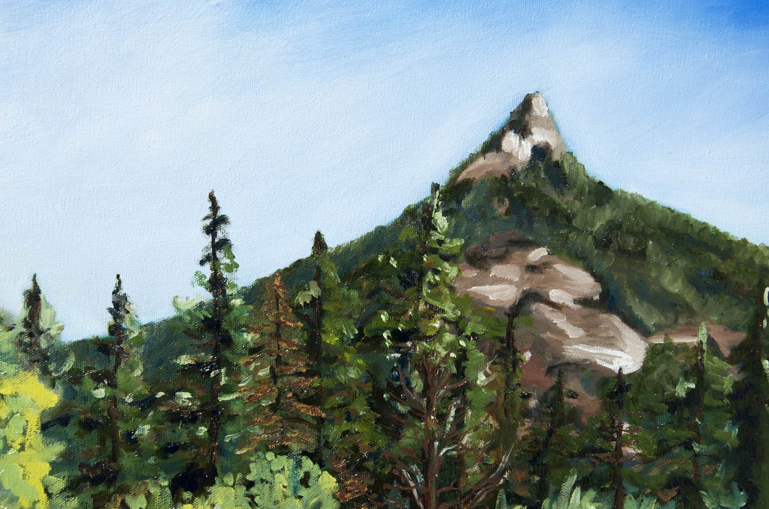 Billy & Tara Camping at Laramie Peak oil painting, by Billy Reiter