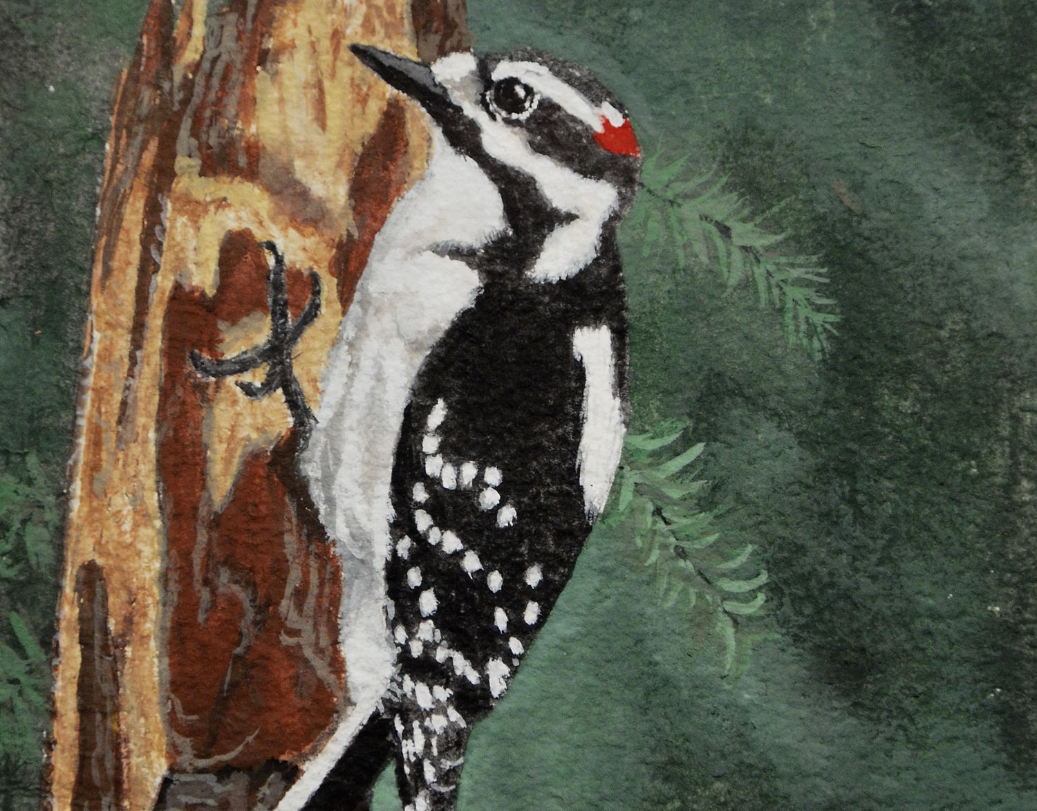Downy Woodpecker gouche painting, by Billy Reiter