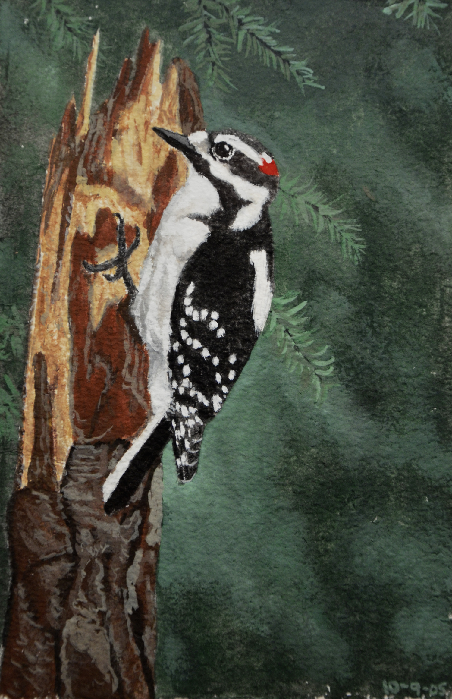 Downy Woodpecker gouche painting, by Billy Reiter