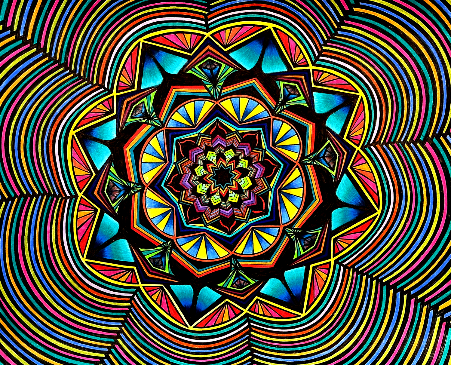 Flowers #11 drawing, by Tara Marolf