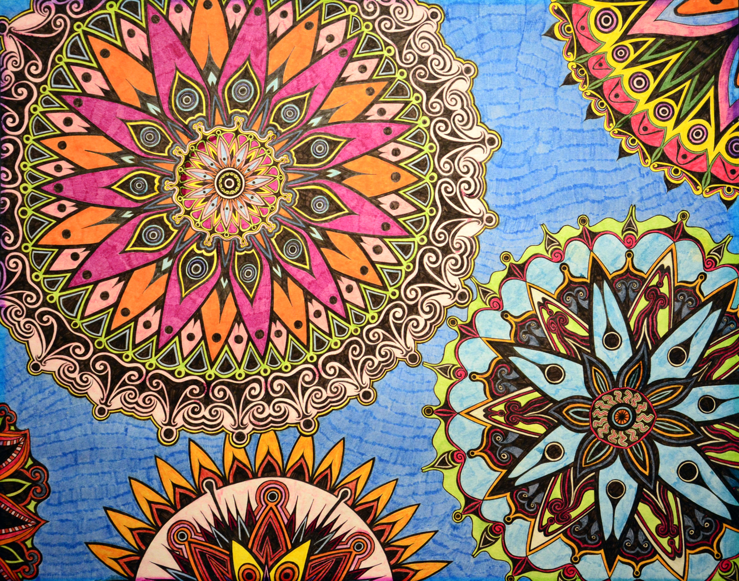 Flowers #1 drawing, by Tara Marolf