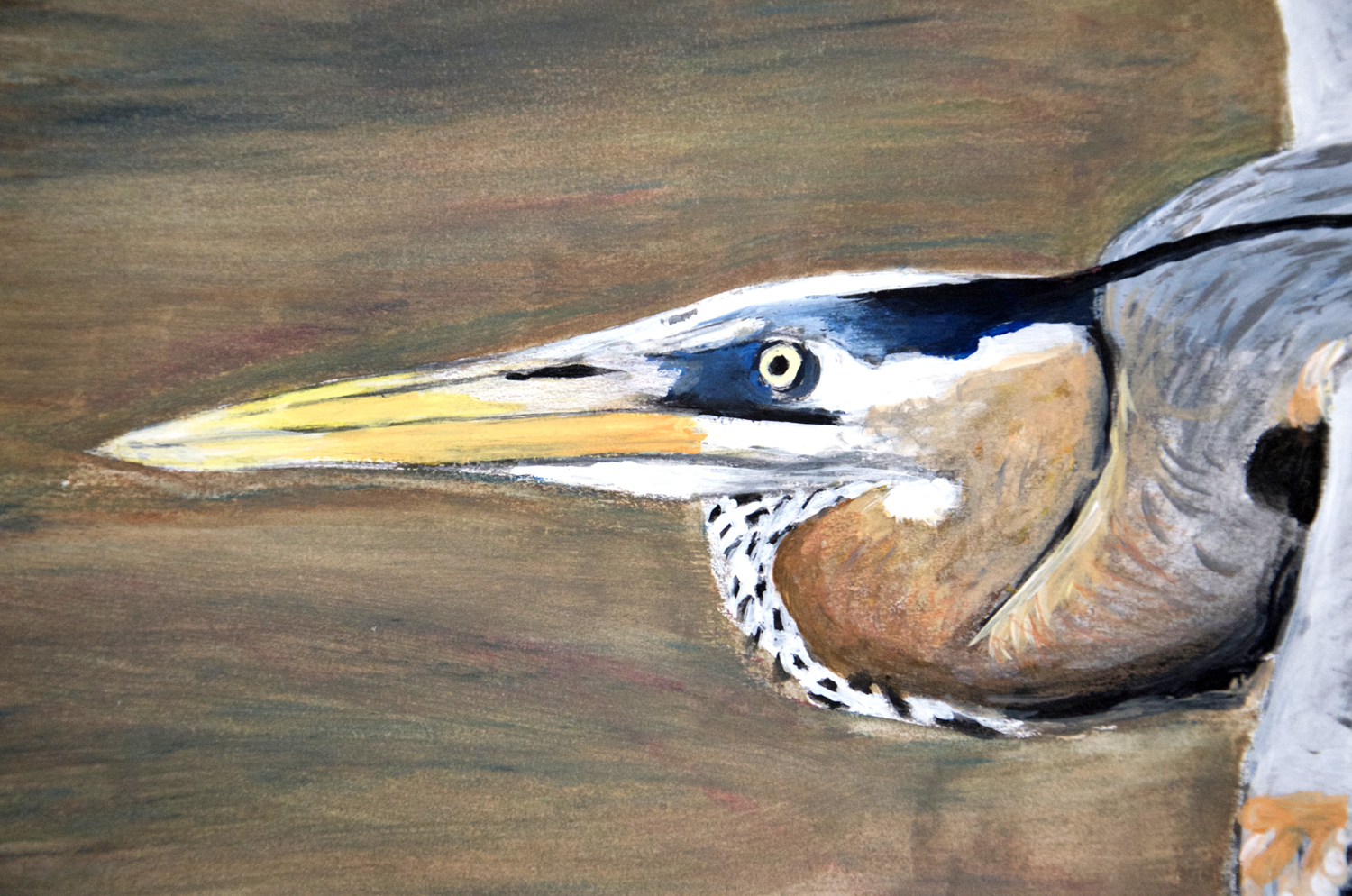 Great Blue Heron oil pastel and acrylic painting, by Billy Reiter