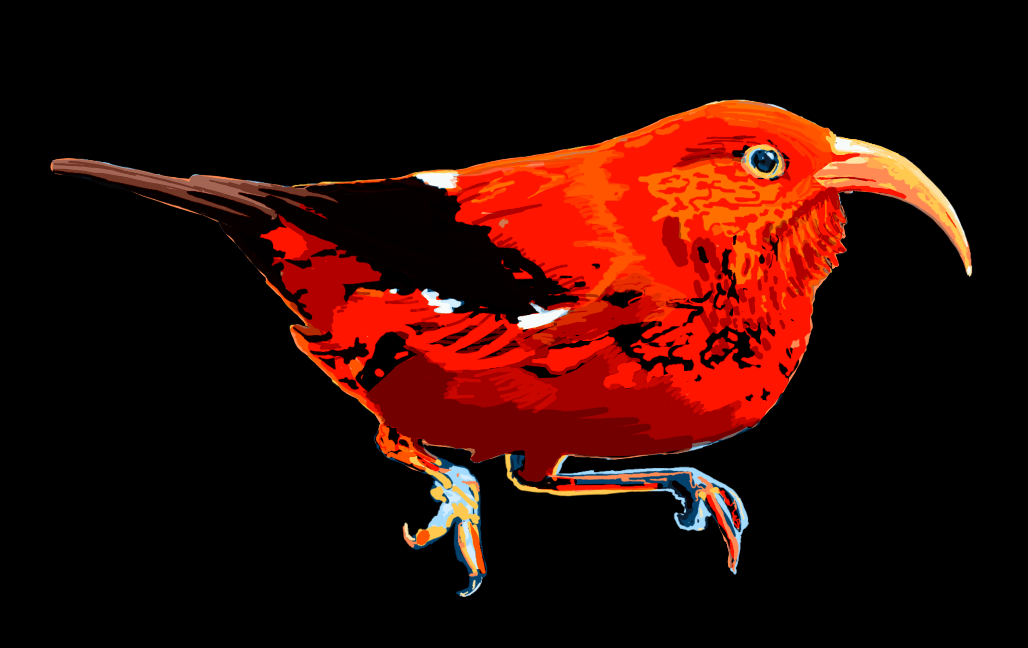 Hawaiian Honeycreeper
