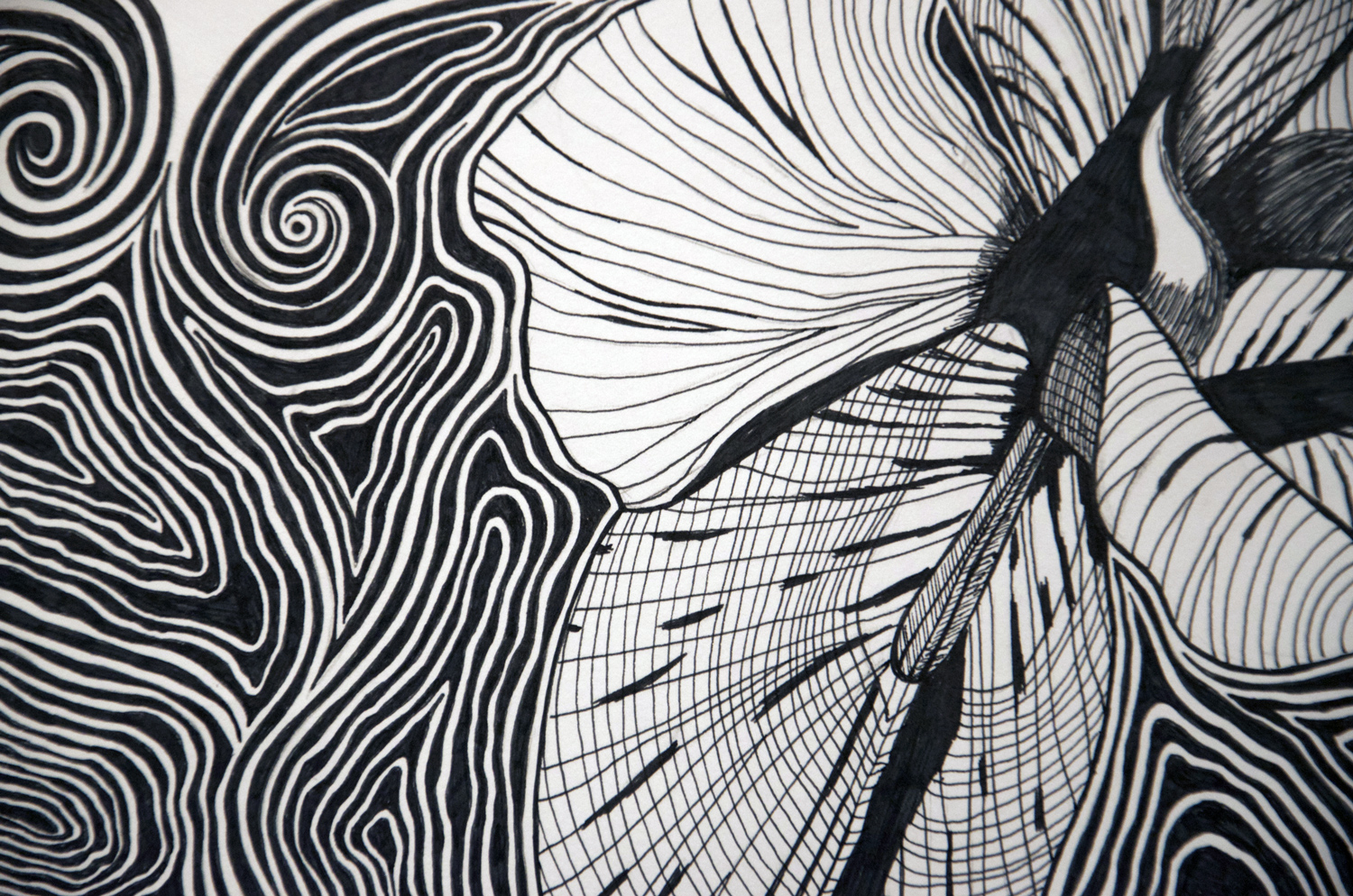 Love Is Real Flower drawing, by Tara Marolf