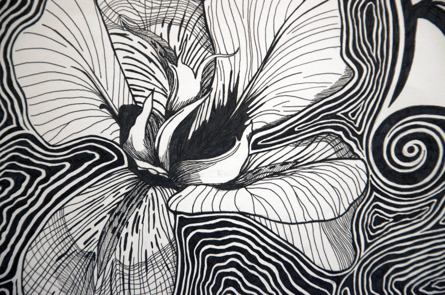 Love Is Real Flower drawing, by Tara Marolf