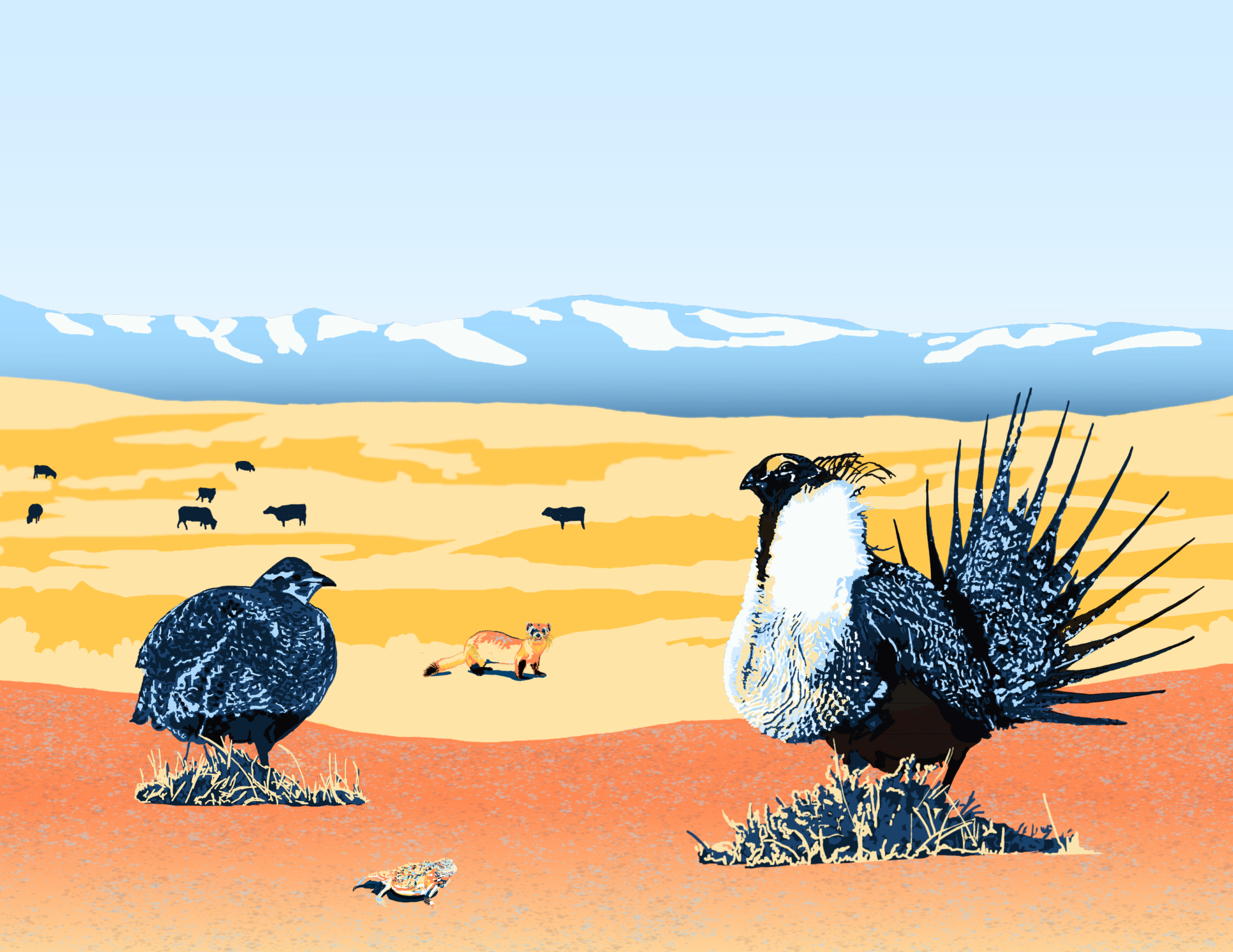 Sage Grouse Prairie with Rocky Mountains