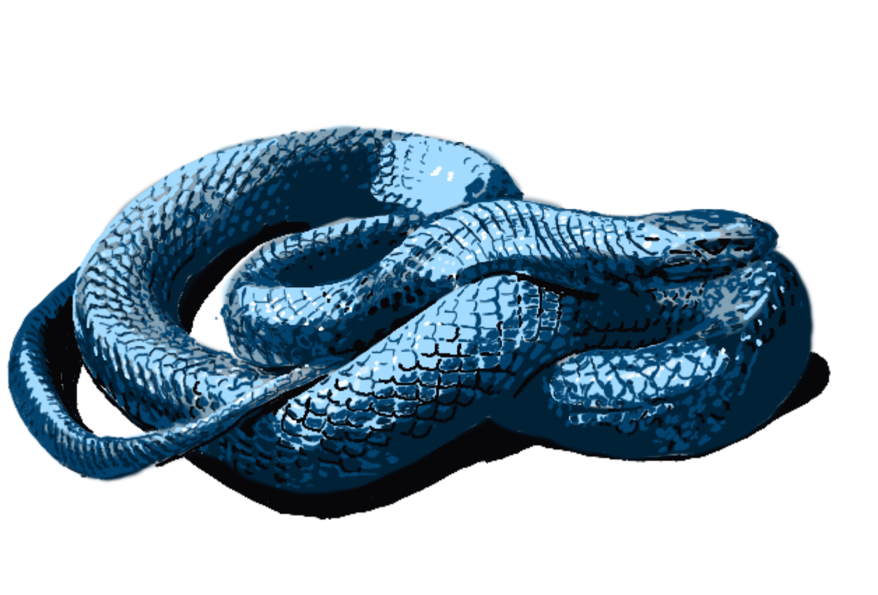 Indigo Snake