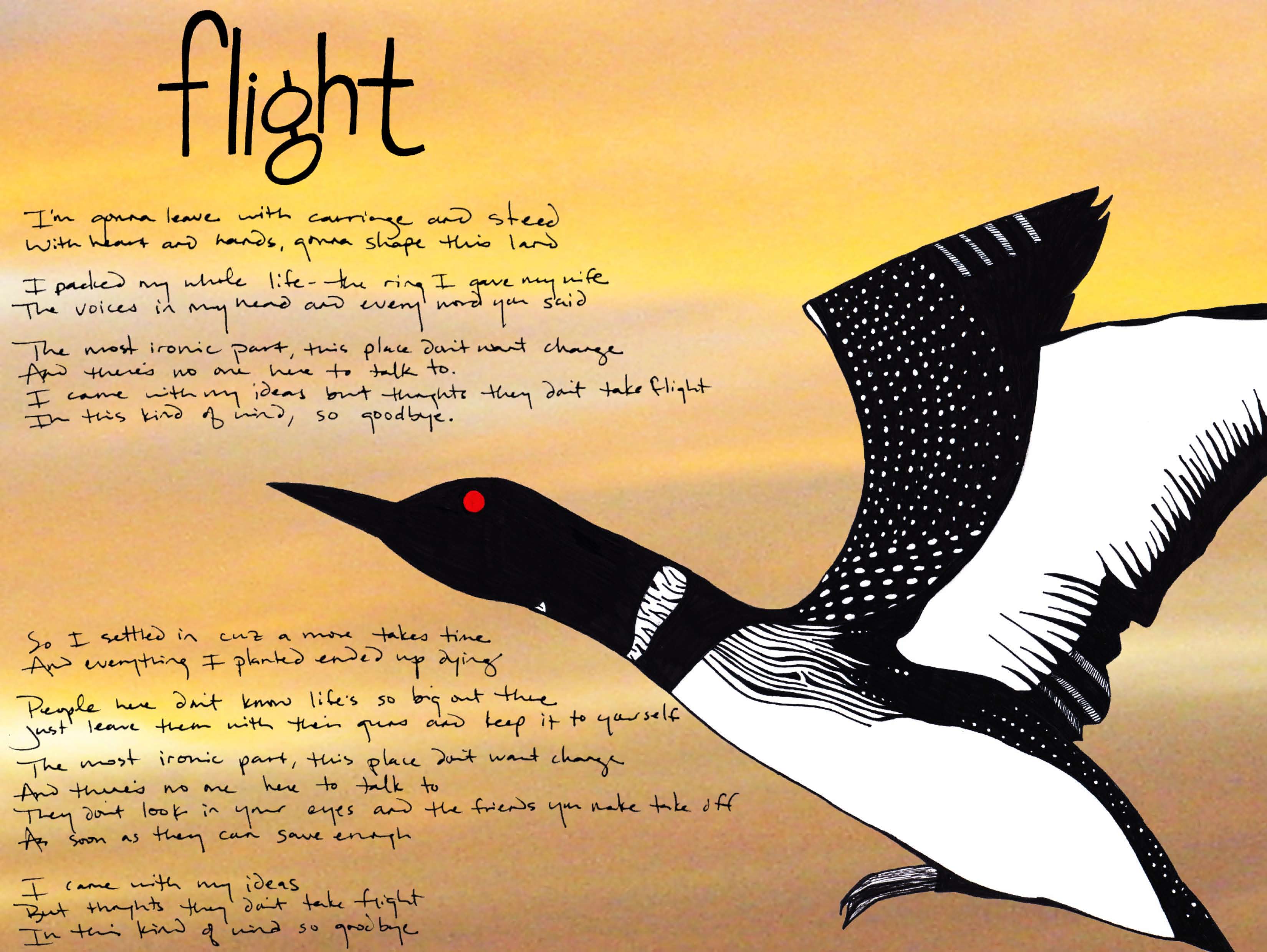 The Common Loon - Flight (Music Album Art), by Billy Reiter & Tara Marolf