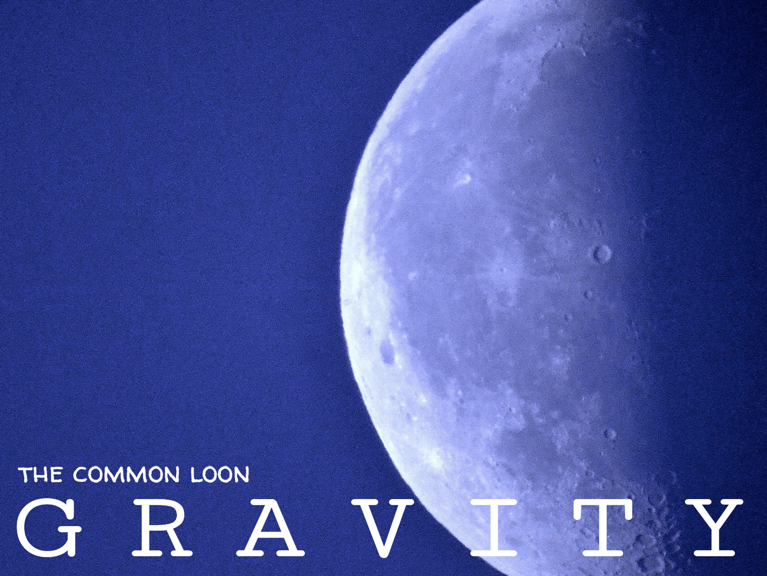 The Common Loon - Gravity (Music Album Art), by Tara Marolf & Billy Reiter
