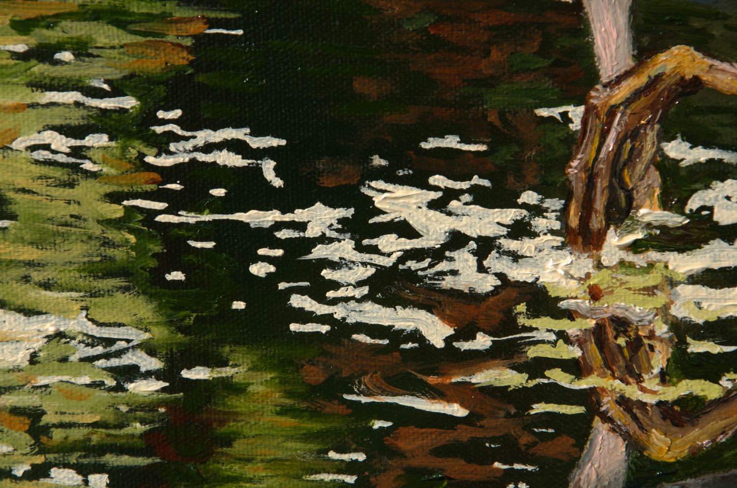 Yellow-crowned Night Heron oil painting, by Billy Reiter