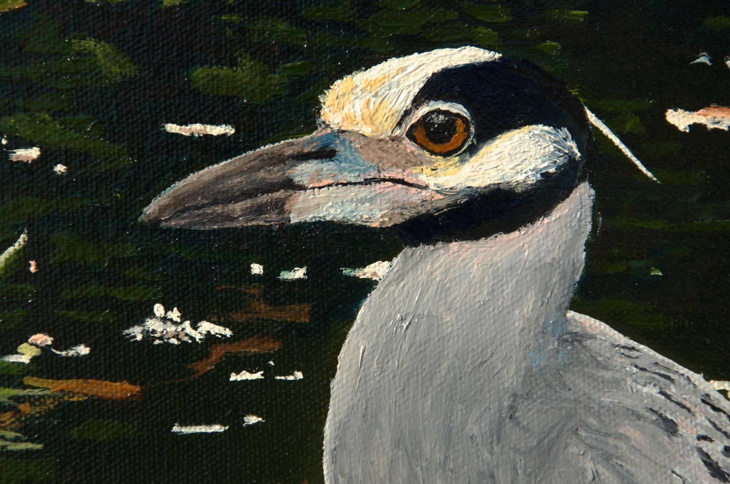 Yellow-crowned Night Heron oil painting, by Billy Reiter
