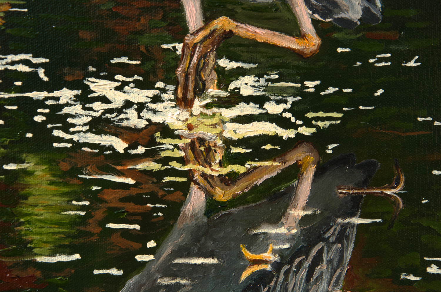 Yellow-crowned Night Heron oil painting, by Billy Reiter
