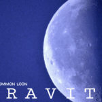 Album Art, music album art, by Tara Marolf & Billy Reiter