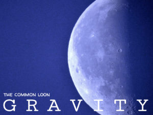 Album Art, music album art, by Tara Marolf & Billy Reiter