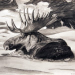 Moose drawing, by Billy Reiter