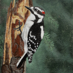 Downy Woodpecker gouche painting, by Billy Reiter
