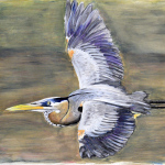 Great Blue Heron oil pastel and acrylic painting, by Billy Reiter