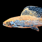Arctic Grayling, digital painting, by Billy Reiter