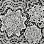 Flowers B&W drawing, by Tara Marolf