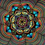 Flowers #11 drawing, by Tara Marolf