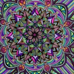 Flowers #8 drawing, by Tara Marolf