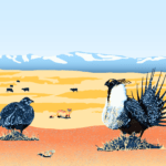 Sage Grouse Prairie with Rocky Mountains, digital painting, by Billy Reiter