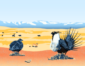 Sage Grouse Prairie with Rocky Mountains, digital painting, 11"x8.5", © 2023 Billy Reiter-Marolf, created for the U.S. Fish and Wildlife Service, Partners for Fish and Wildlife Program's 35th Anniversary Evaluation Summary.