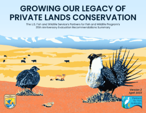 Growing Our Legacy Of Private Lands Conservation, The Partners For Fish and Wildlife Program's 35th Evaluation Summary, digital and print publication, 11″x8.5",
created for the U.S. Fish and Wildlife Service. © 2023 Billy Reiter-Marolf