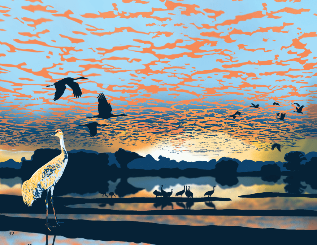 Sandhill Crane Sunset, digital painting, 11"x8.5", © 2023 Billy Reiter-Marolf, created for the U.S. Fish and Wildlife Service, Partners for Fish and Wildlife Program's 35th Anniversary Evaluation Summary.