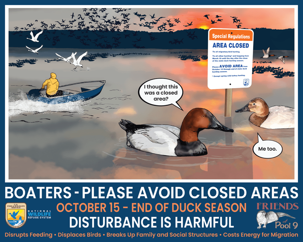 Disturbance Is Harmful, waterfowl avoidance area outreach sign, Upper Mississippi River National Wildlife and Fish Refuge, digital painting and print publication, created for the U.S. Fish and Wildlife Service. 30″x24" © 2023 Billy Reiter-Marolf